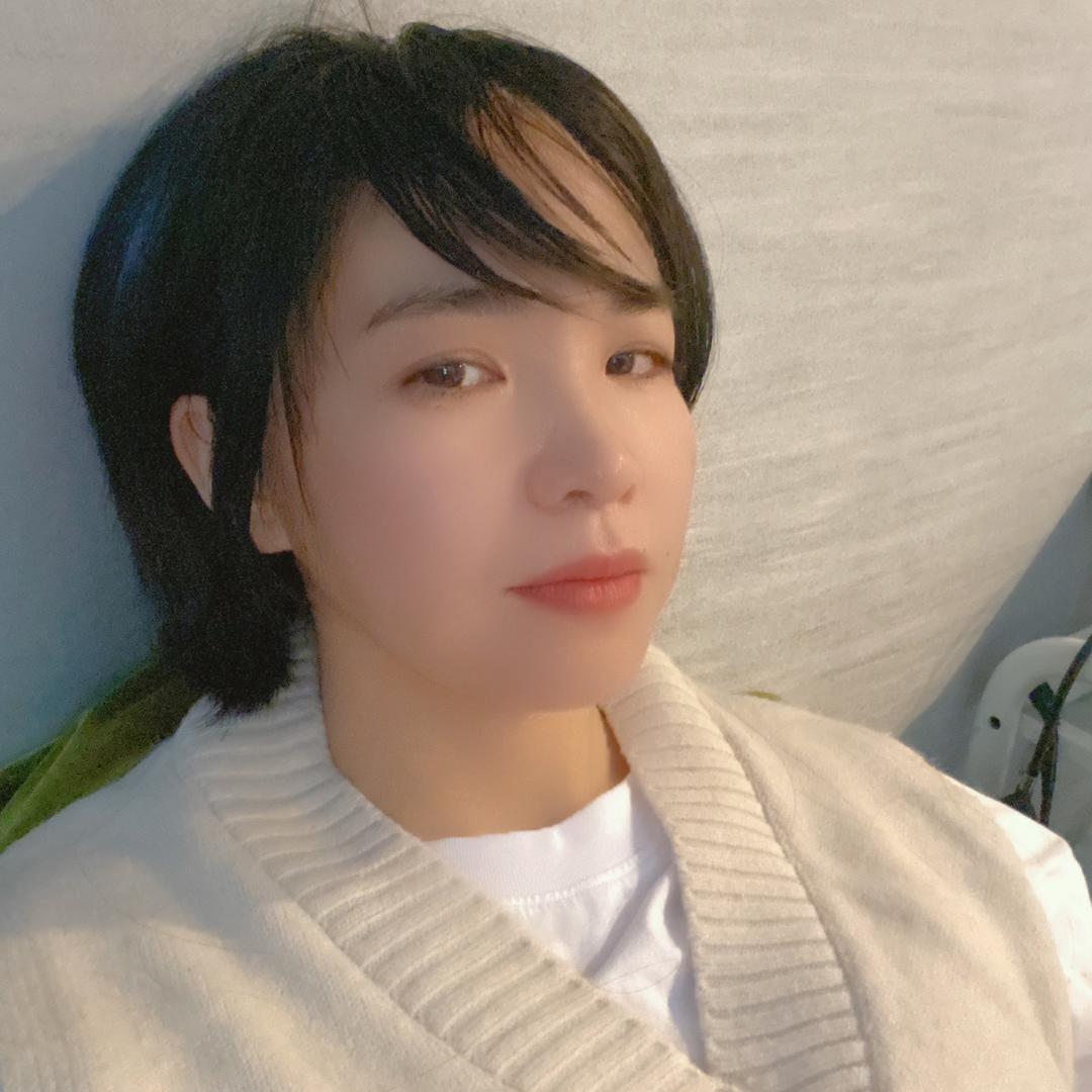 呆呆的虫