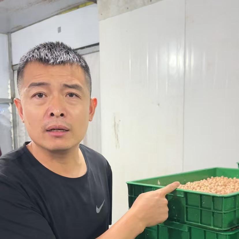 七彩芽苗菜闾福