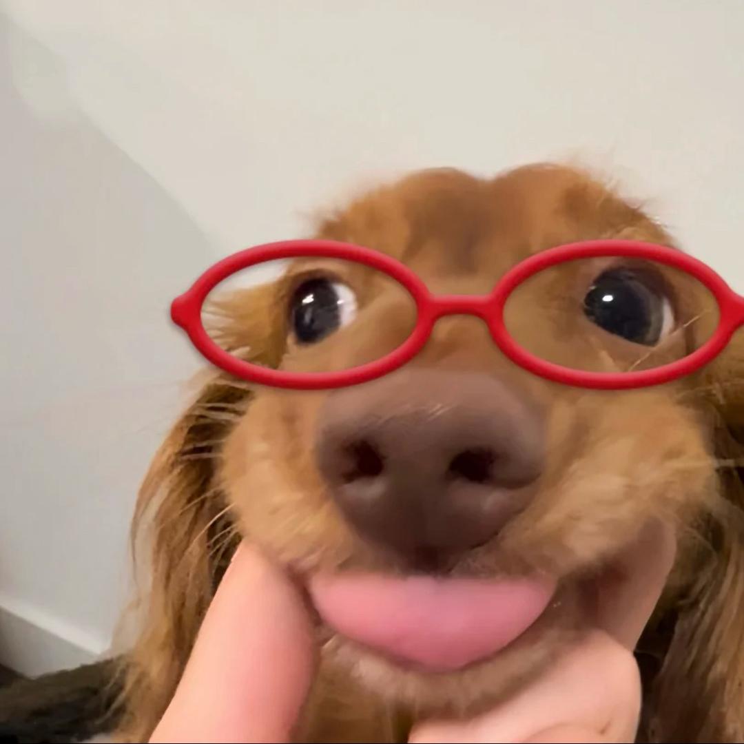 彤话日记❤️