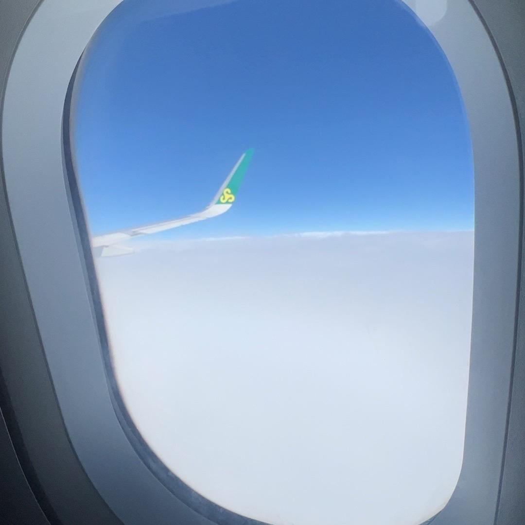 海豚优选科技