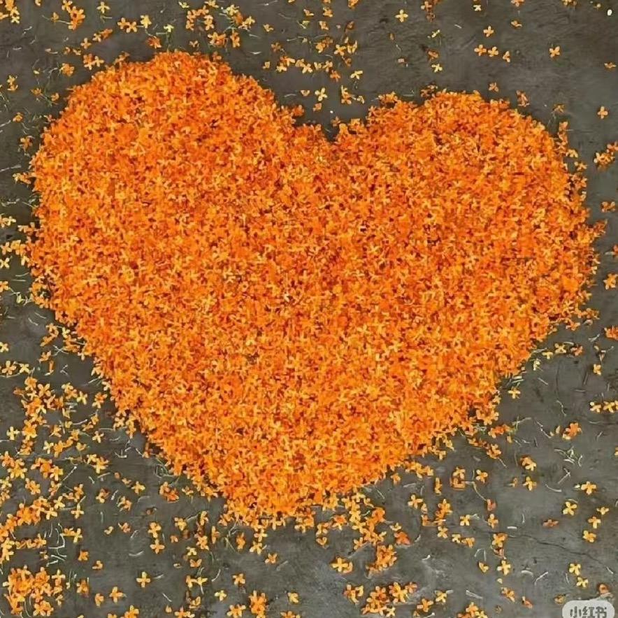 雨中漫步🚶‍♀️