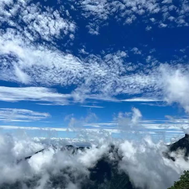谧静
