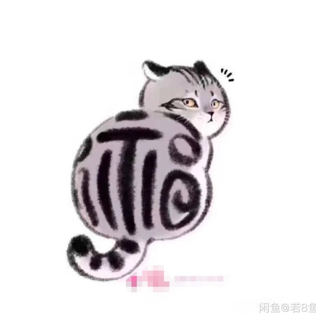 福州宠物寄养20