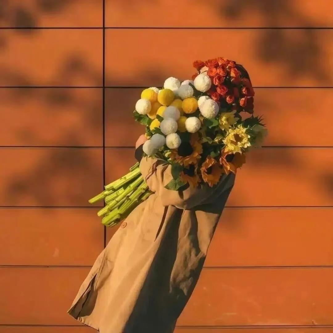 呼噜葫芦树ᴿ💭