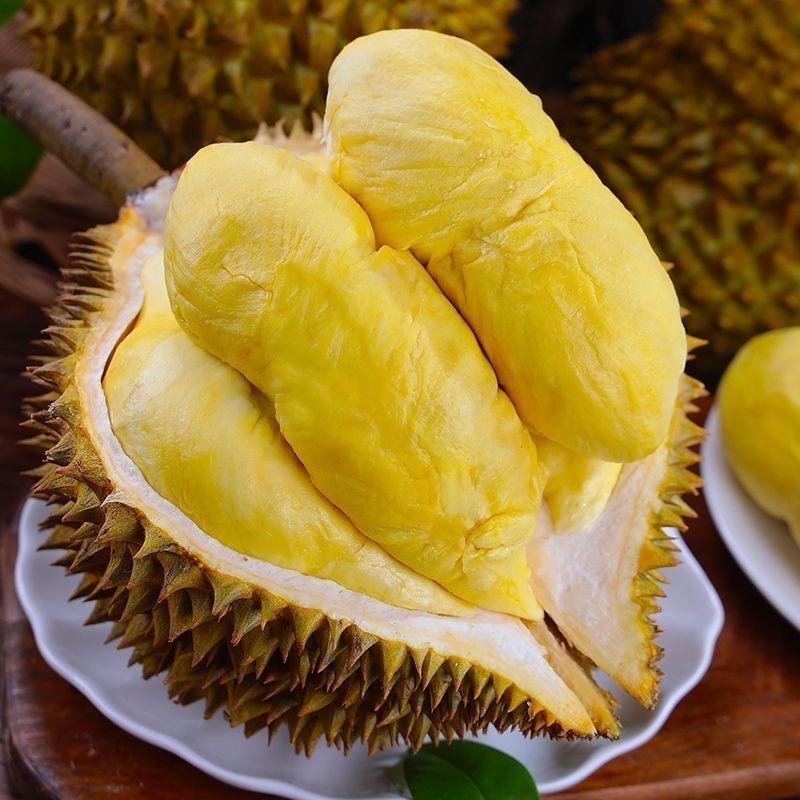 毛毛家的榴莲