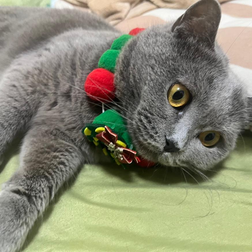 麻麻酱 我系多多