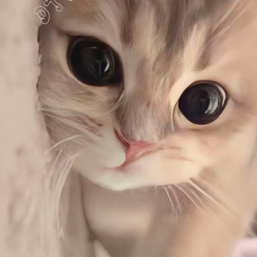 全都寿司🍣吧