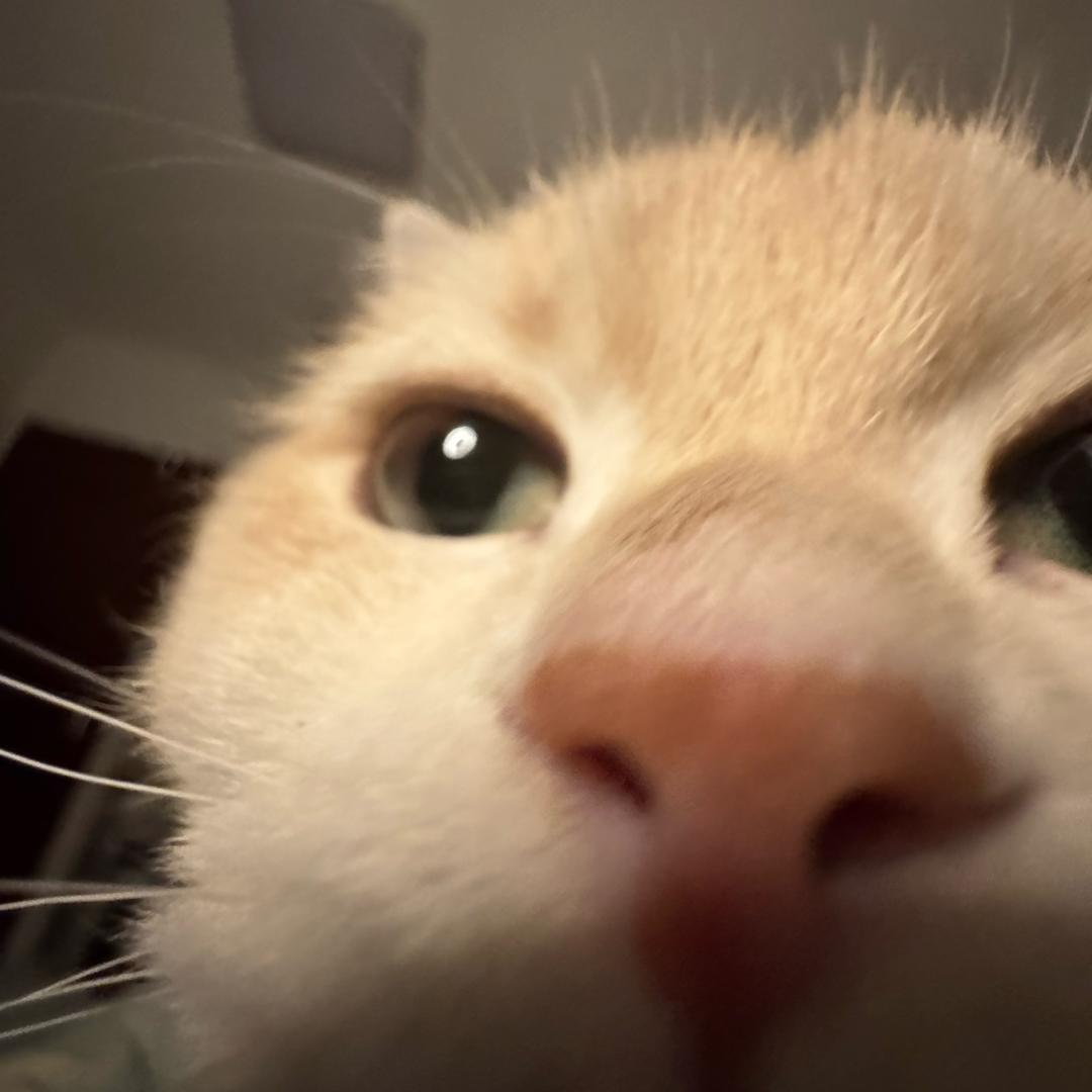 不知道叫什么名字