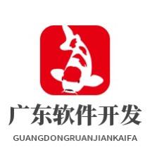 广东软件开发