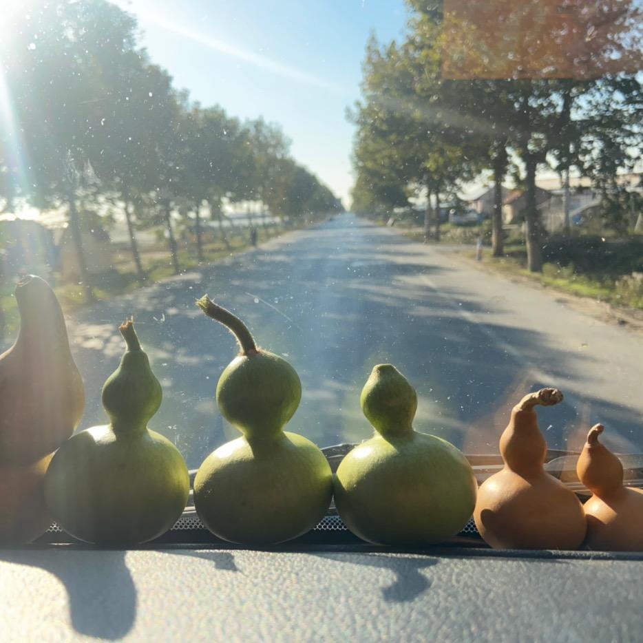 一直懵？一直萌？