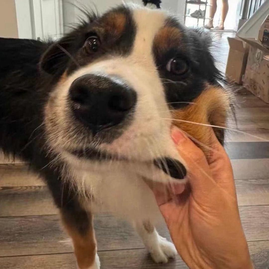 1031