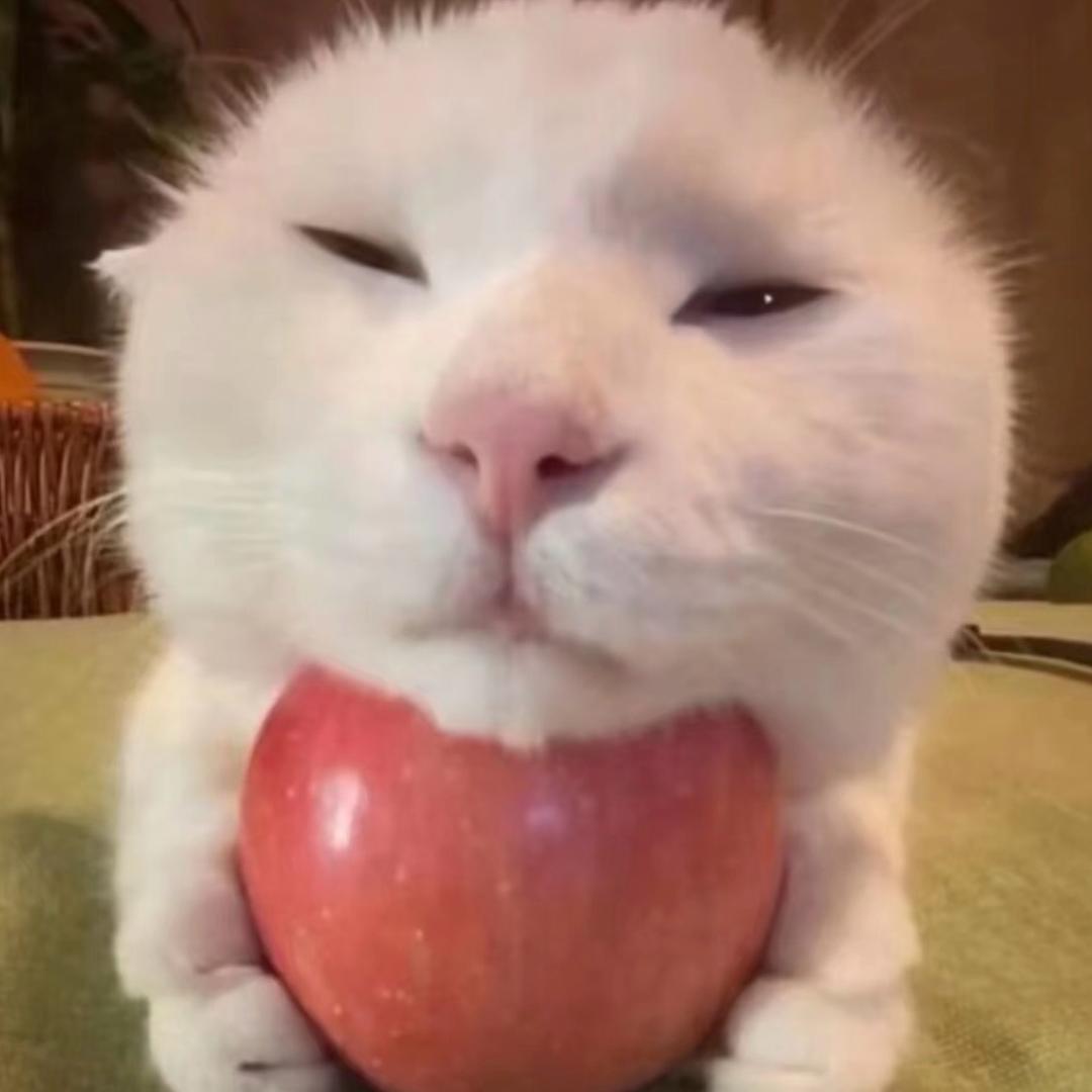 信不信我一拳把你抡倒