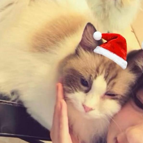 一根忧郁的铅笔