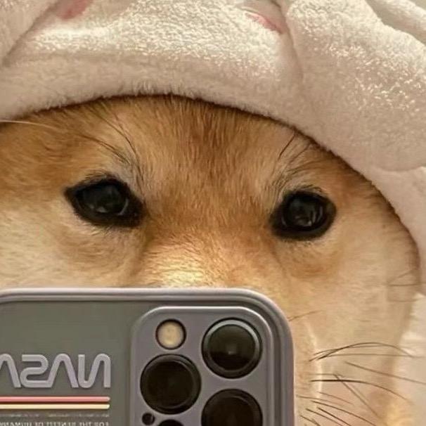 啊彬  ▞▙▛▖▜▖