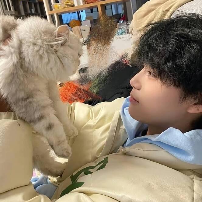阳崽