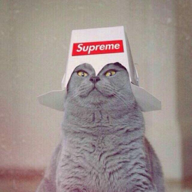 某  某🙈