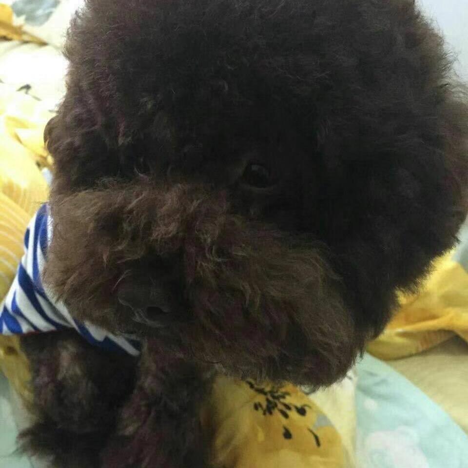 佳人（到1万粉丝就挑战一周不吃饭）