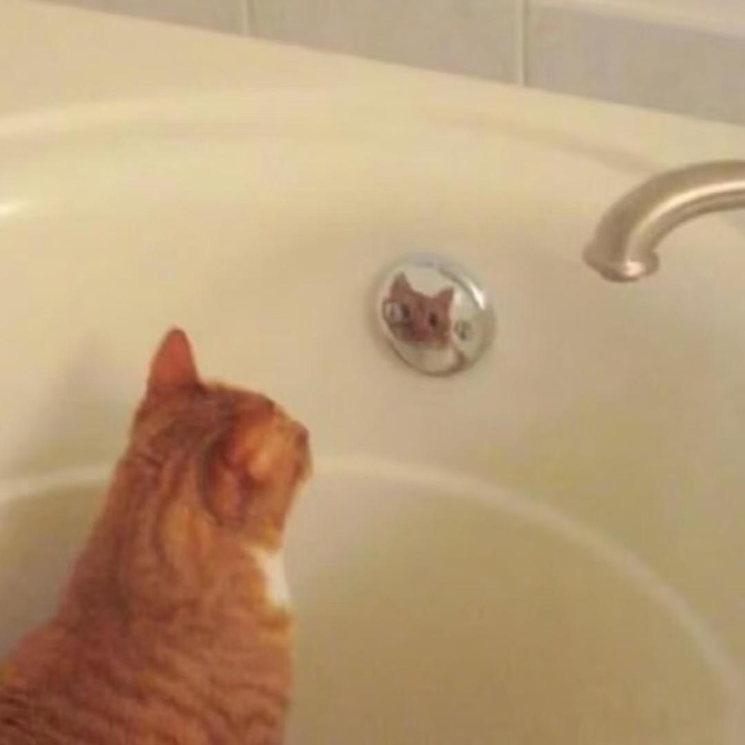 🥄