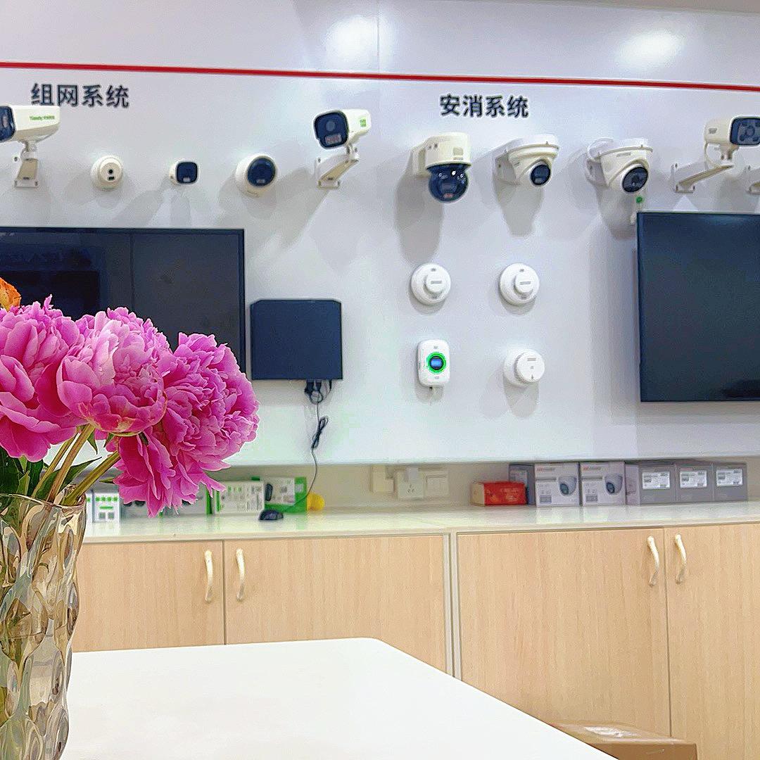 广东云极速智能科技有限公司