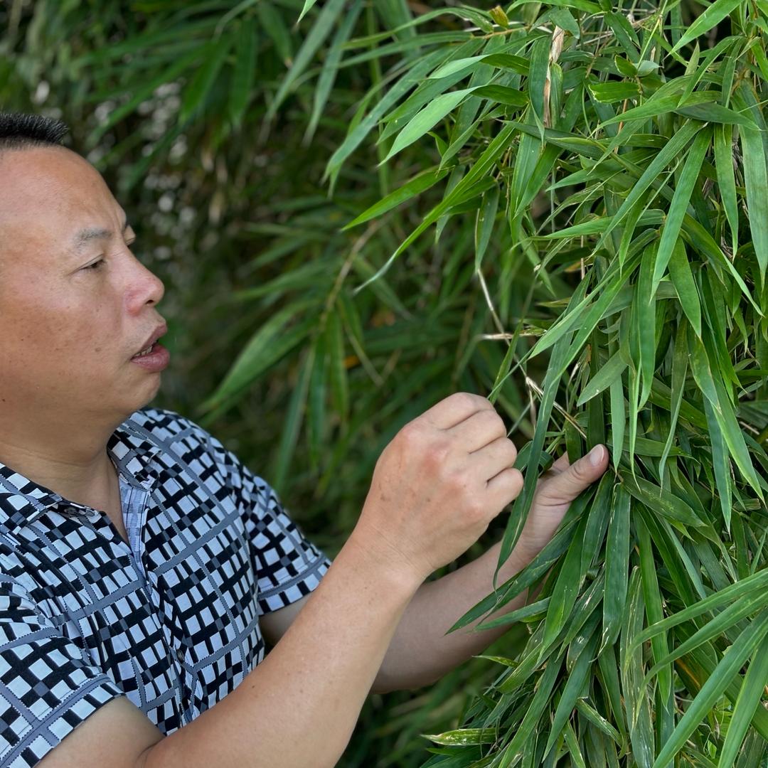 森山土特产店