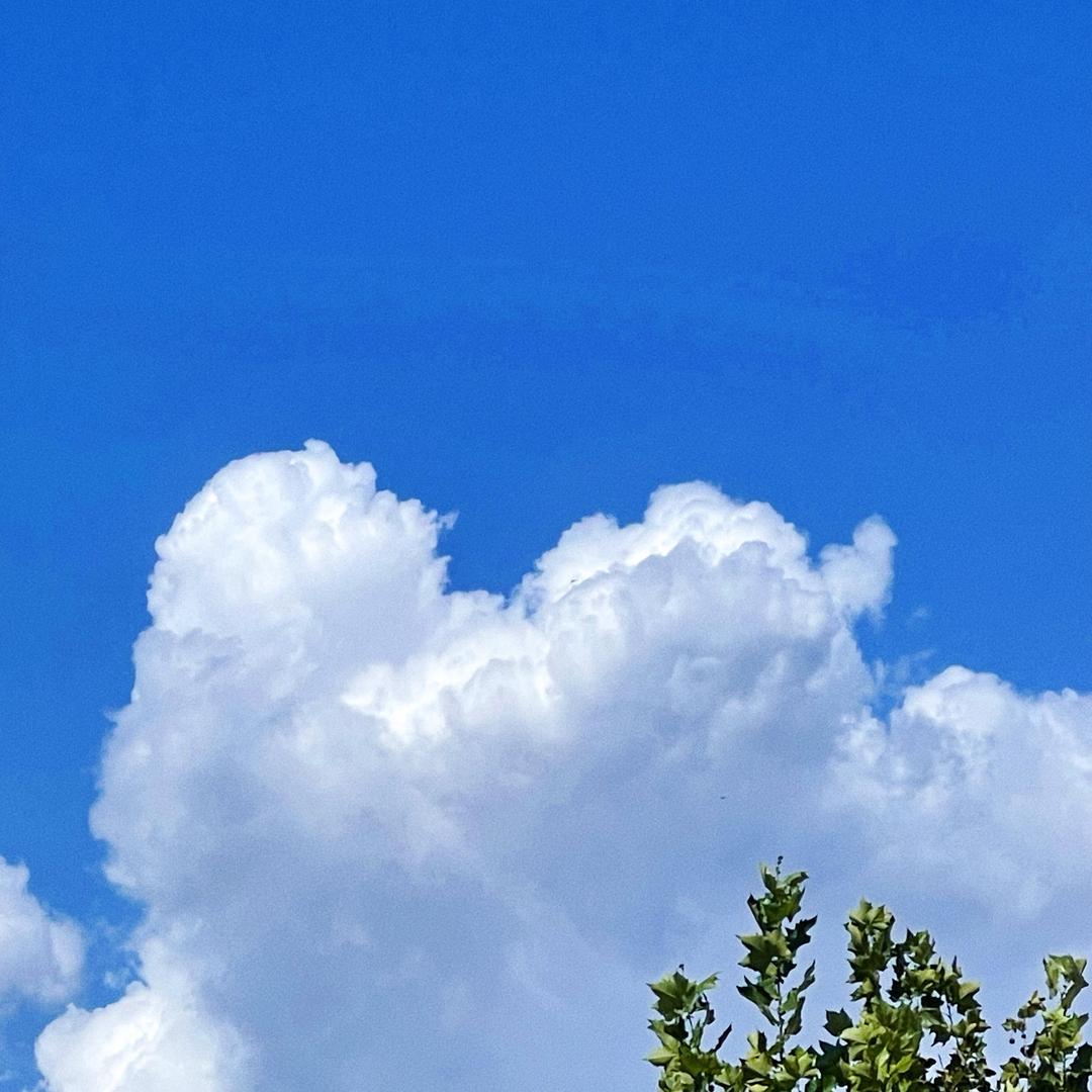 方圆 🍀