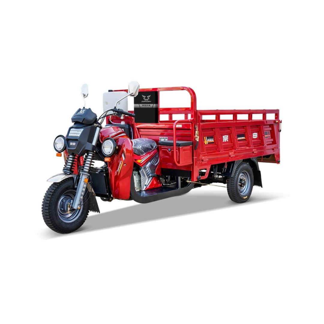 迪士尼在逃保洁阿姨🥝