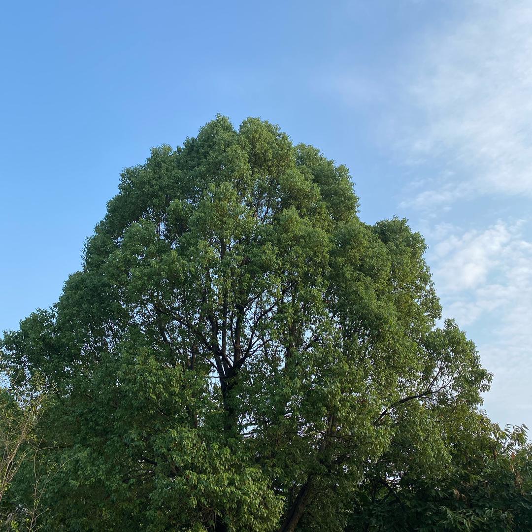 温暖治愈源