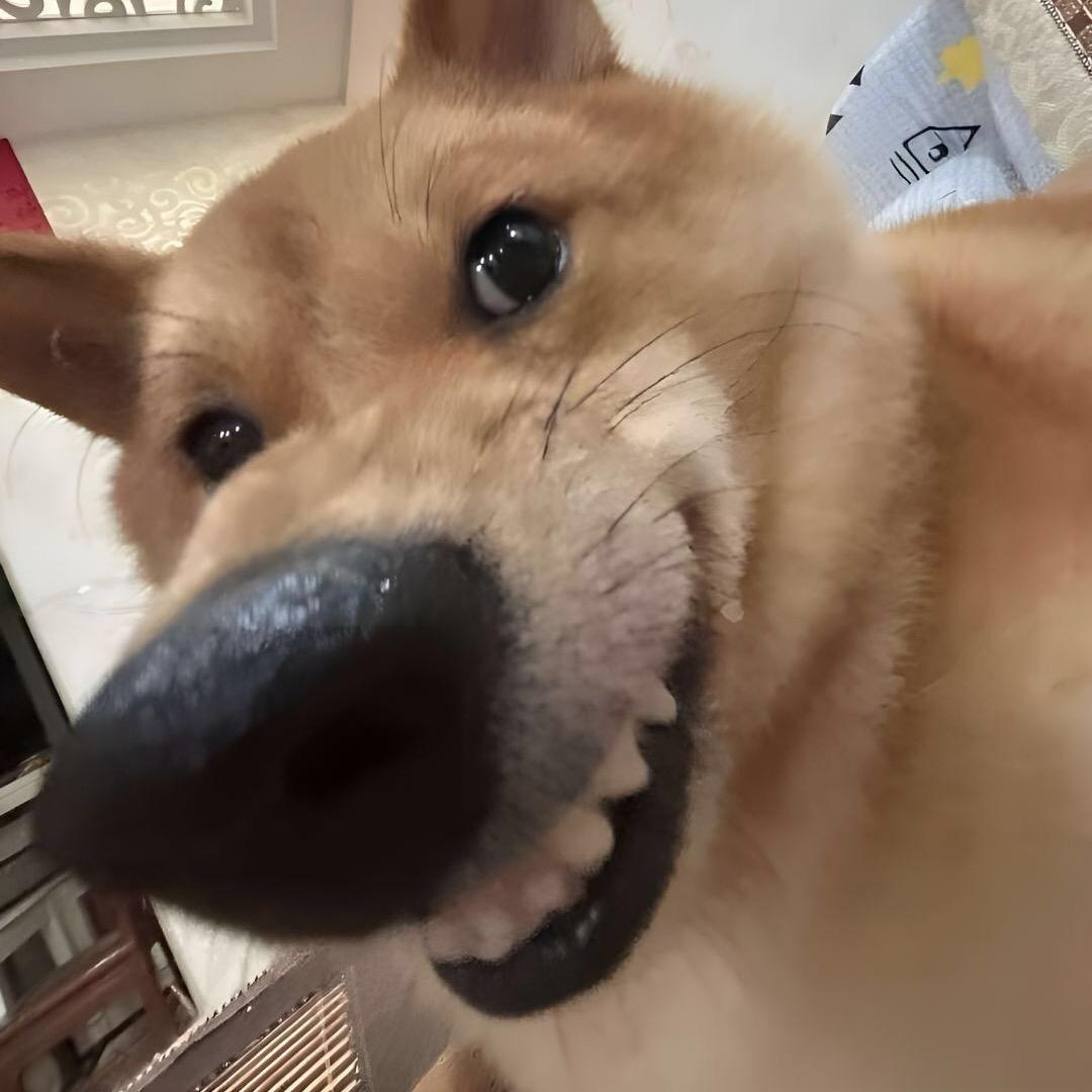 闲得蛋痛小卖部