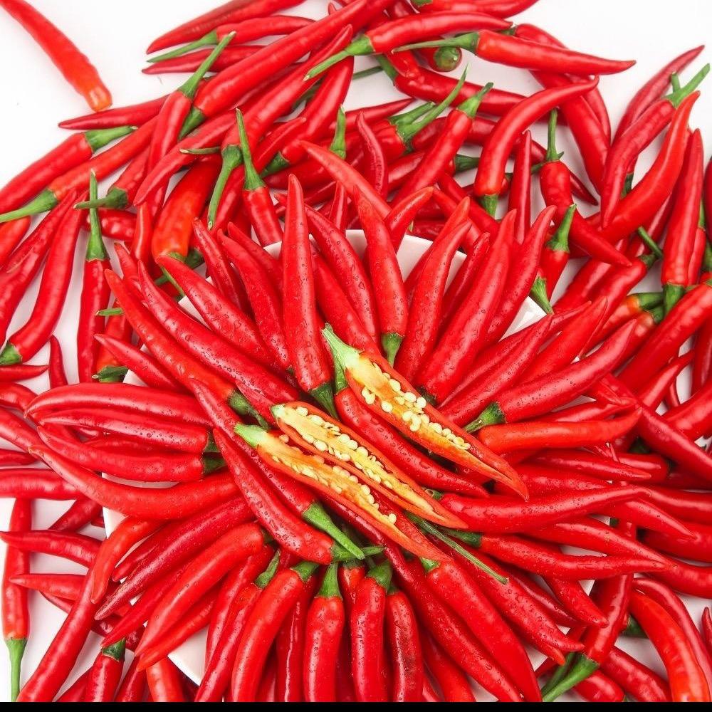 澜子生鲜农产品批发