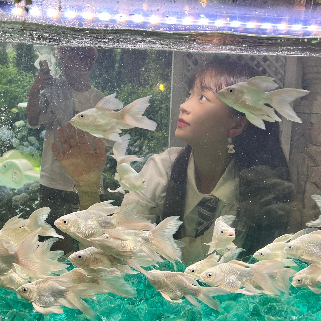 出口亿点点