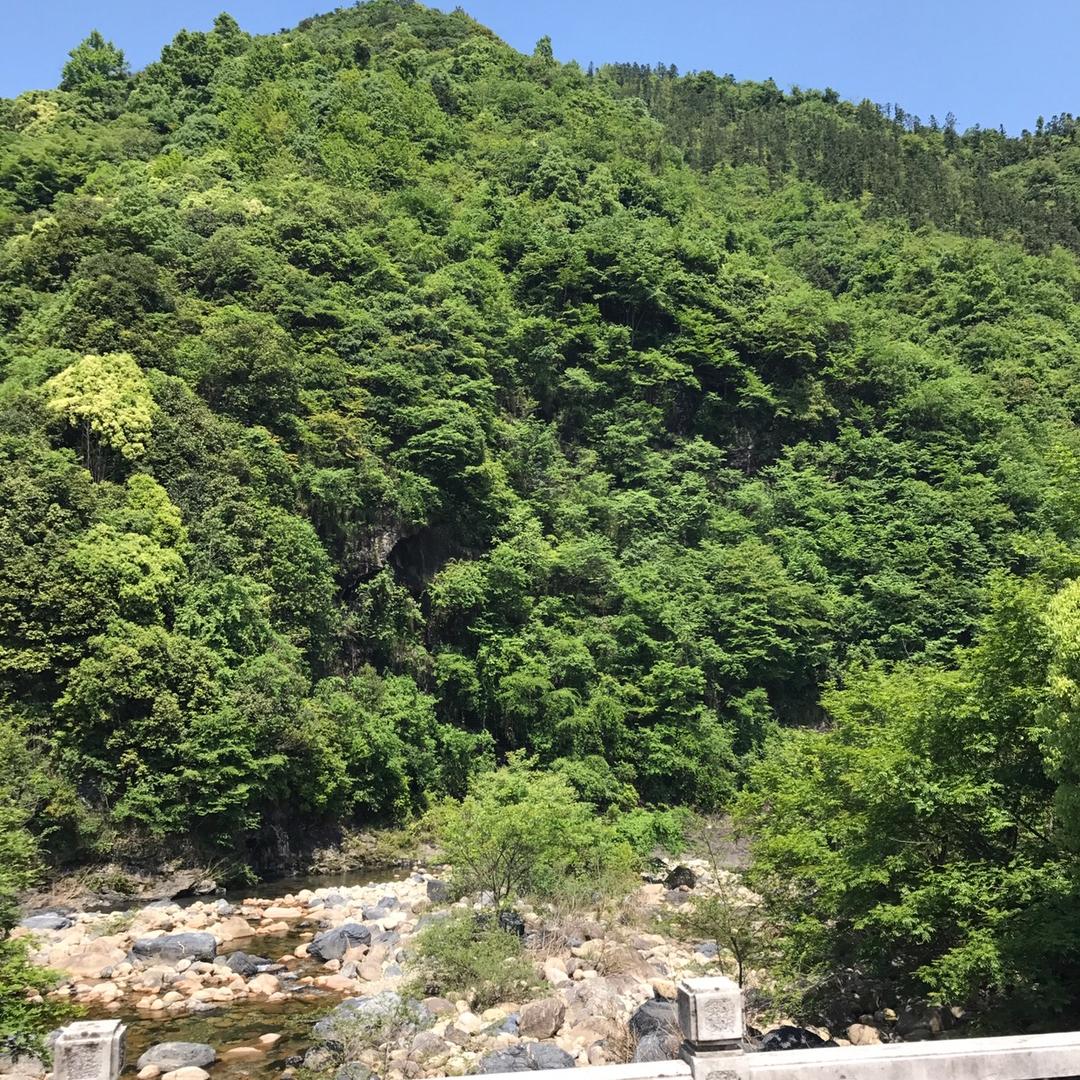 🌈🌈迷茫🌈🌈