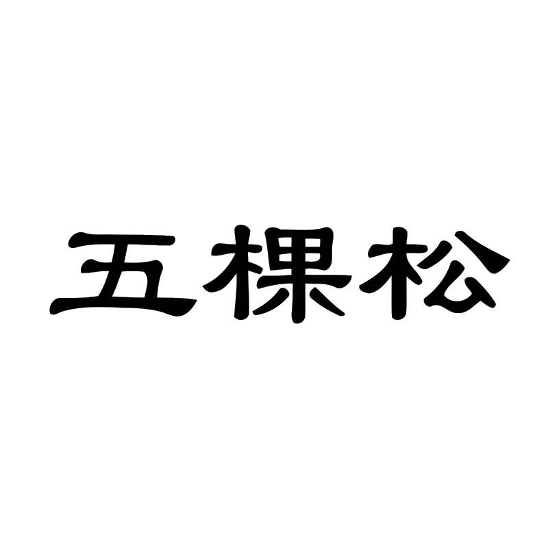 五棵松鞋服