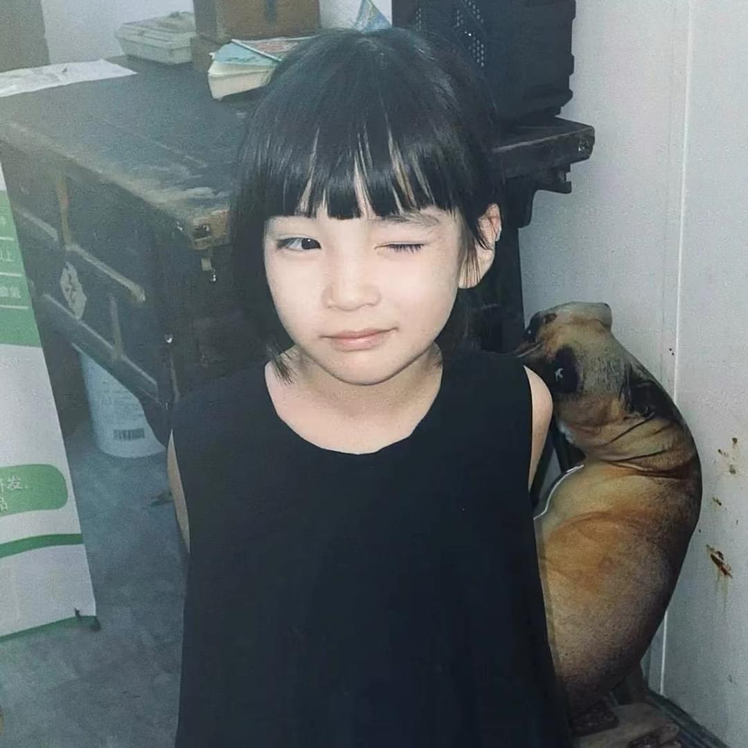 陈述一