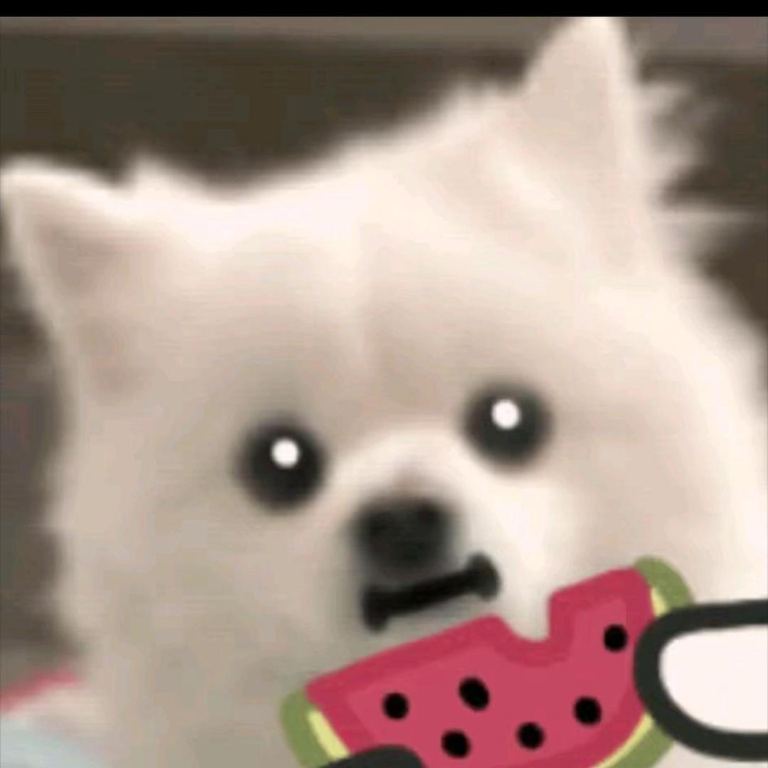 梦求真（粉丝）