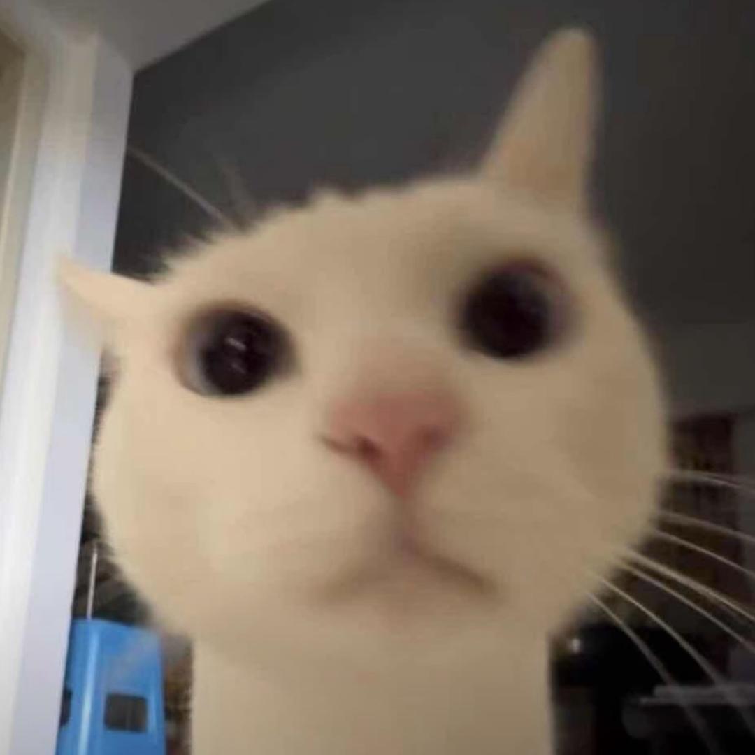 ccY