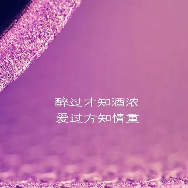 只如初见