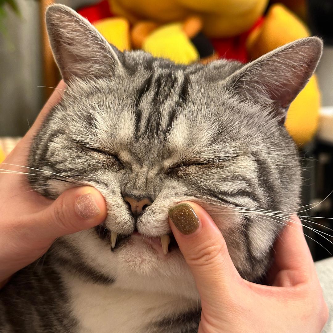 𝑳𝒆𝒏𝒂.娜娜