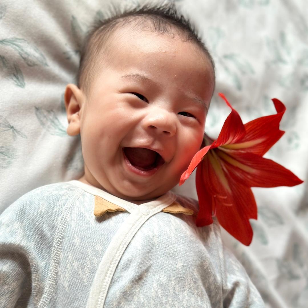 派派妈小李头像