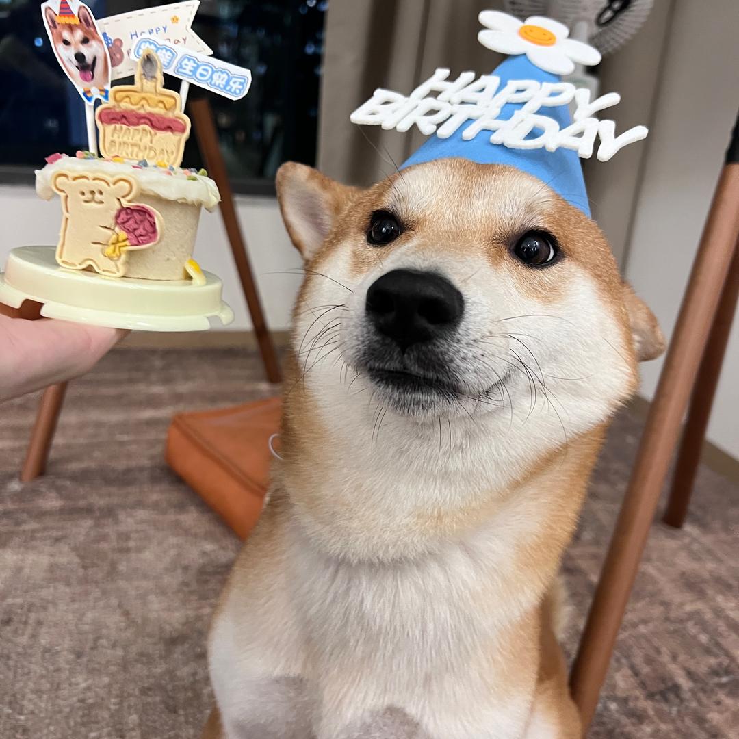 小财妈