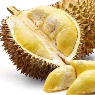 榴莲批发邵帅