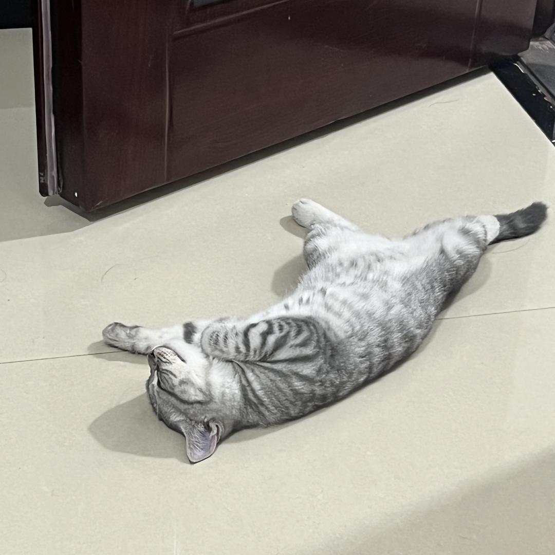 雨谭家居生活馆