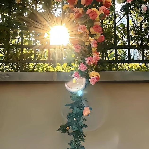 zwj🌸