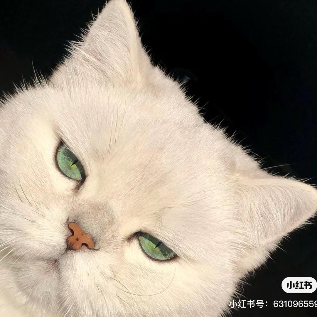 拉爆你男友（备用号）