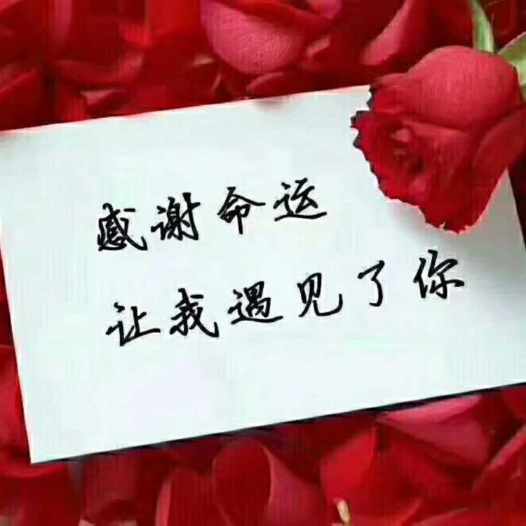 楊哥