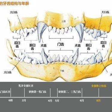 一万个放心