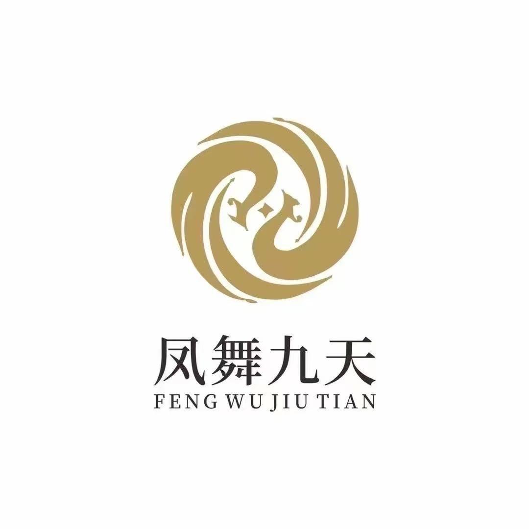 凤舞九天营销经理