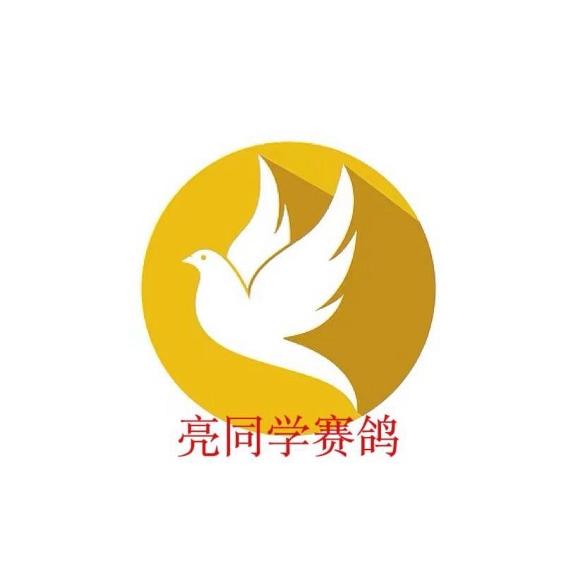 四川聚缘鸽业亮同学