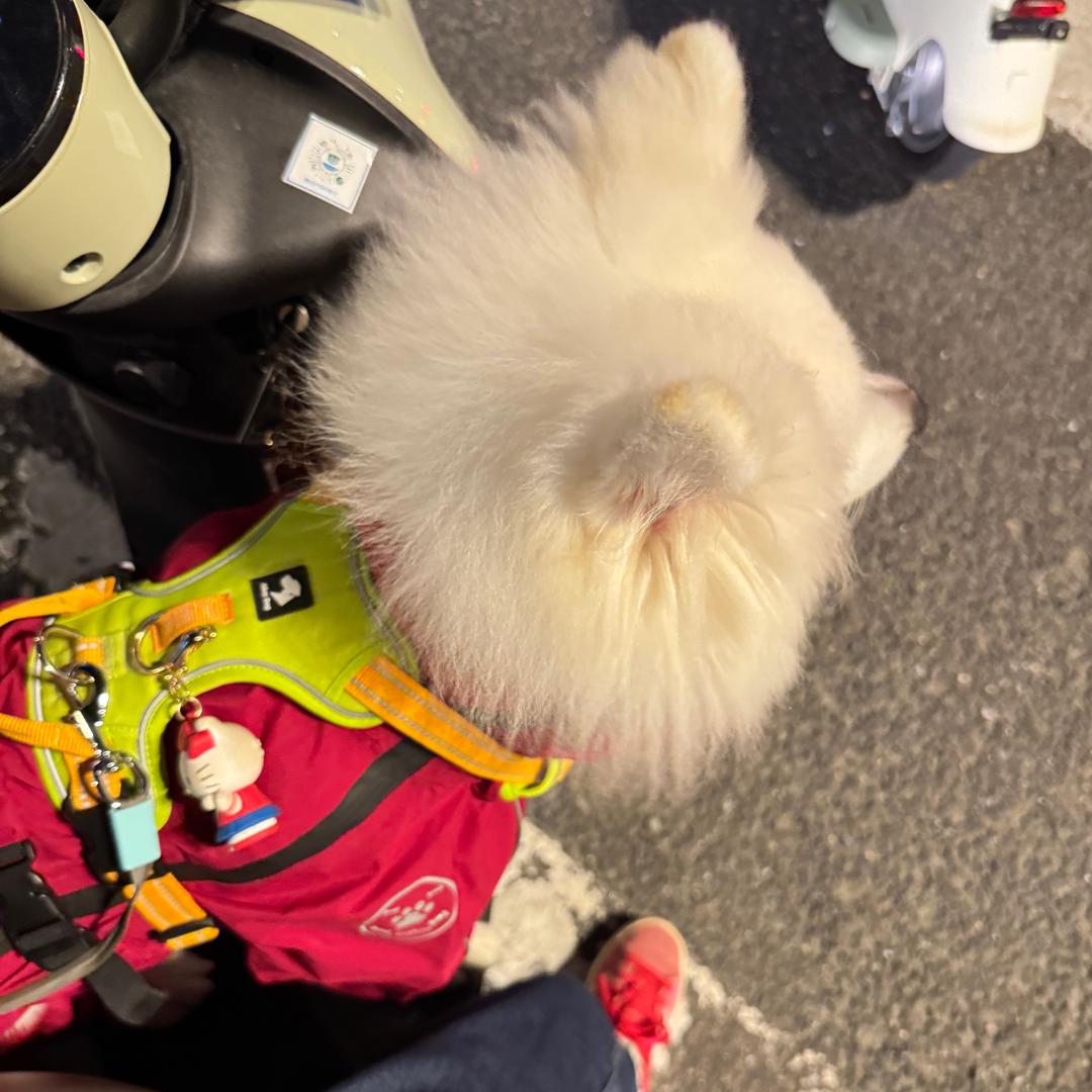 小十六