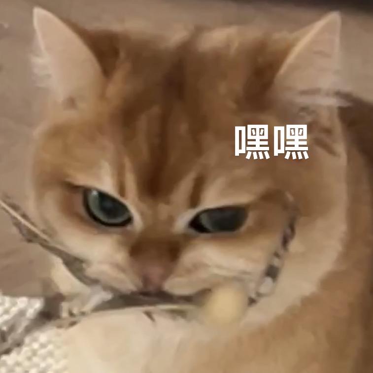 团花的麻
