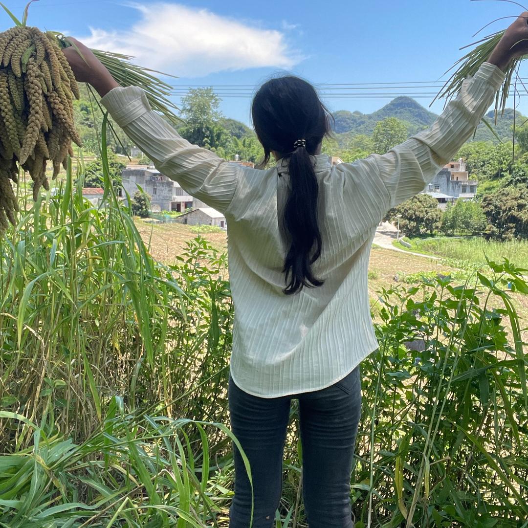 广西艳艳（从头开始）